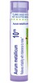 Boiron Aurum Metallicum 10M for Irritability with Intolerance to Noise - 80 Pellets