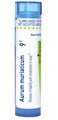Boiron Aurum Muriaticum 9C for Irritability with Intolerance to Noise - 80 Pellets
