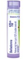 Boiron Belladonna 10M for High Fever of Sudden Onset with Perspiration - 80 Pellets