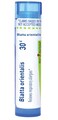 Boiron Blatta orientalis 30C for Respiratory Allergies - 80 Pellets