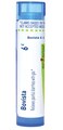Boiron Bovista 6C for Painful Diarrhea with Gas - 80 Pellets