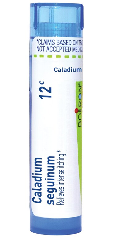 Boiron Caladium Seguinum 12C for Intense Itching - 80 Pellets