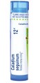 Boiron Caladium Seguinum 12C for Intense Itching - 80 Pellets