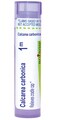 Boiron Calcarea Carbonica 1M for Cradle Cap - 80 Pellets