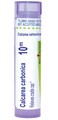 Boiron Calcarea Carbonica 10M for Cradle Cap - 80 Pellets