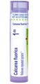 Boiron Calcarea Fluorica 1M for Repeated Sprains - 80 Pellets