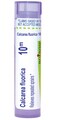 Boiron Calcarea Fluorica 10M for Repeated Sprains - 80 Pellets