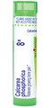 Boiron Calcarea Phosphorica 8X for Growing Bone Pain - 80 Pellets
