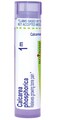 Boiron Calcarea Phosphorica 1M for Growing Bone Pain - 80 Pellets