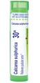 Boiron Calcarea Sulphurica 30X for Pustular Acne - 80 Pellets