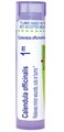 Boiron Calendula Officinalis 1M for Minor Wounds, Cuts or Burns - 80 Pellets