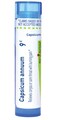 Boiron Capsicum Annuum 9C for Coryza or Sore Throat with Burning Pain - 80 Pellets