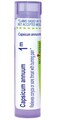 Boiron Capsicum Annuum 1M for Coryza or Sore Throat with Burning Pain - 80 Pellets