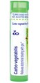 Boiron Carbo Vegetabilis 8X for Abdominal Bloating with Gas - 80 Pellets
