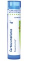 Boiron Carduus Marianus 6C for Hemorrhoids - 80 Pellets