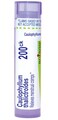 Boiron Caulophyllum Thalictroides 200Ck Homeopathic Medicine for Menstrual Cramps - 80 Pellets
