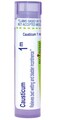 Boiron Causticum 1M for Bed-Wetting &amp; Bladder Incontinence - 80 Pellets
