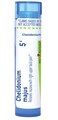 Boiron Chelidonium Majus 5C for Nausea with Upper Back Pain - 80 Pellets