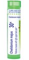 Boiron Chelidonium Majus 30X for Nausea with Upper Back Pain - 80 Pellets