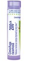 Boiron Cimicifuga Racemosa 200Ck Homeopathic Medicine for Menstrual Cramps Improved by Lying Down - 80 Pellets