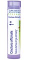 Boiron Cinchona Officinalis 1M for Diarrhea with Gas &amp; Bloating - 80 Pellets