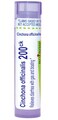 Boiron Cinchona Officinalis 200Ck Homeopathic Medicine for Diarrhea with Gas &amp; Bloating - 80 Pellets
