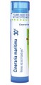 Boiron Cineraria Maritima 30C Homeopathic Medicine for Red &amp; Irritated Eyes - 80 Pellets