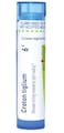 Boiron Croton Tiglium 6C Homeopathic Medicine for Itching Relieved by Light Rubbing - 80 Pellets