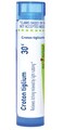 Boiron Croton Tiglium 30C Homeopathic Medicine for Itching - 80 Pellets