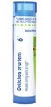Boiron Dolichos Pruriens 6C Homeopathic Medicine for Itching - 80 Pellets