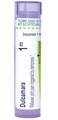 Boiron Dulcamara 1M Homeopathic Medicine for Joint Pain Triggered by Dampness - 80 Pellets