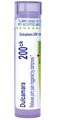 Boiron Dulcamara 200Ck Homeopathic Medicine for Joint Pain - 80 Pellets