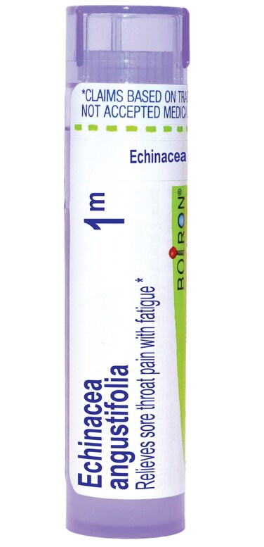 Boiron Echinacea Purpurea 1M for Sore Throat Pain with Fatigue - 80 Pellets