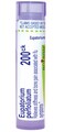 Boiron Eupatorium Perfoliatum 200Ck, Homeopathic Medicine for Stiffness &amp; Bone Pain - 80 Pellets