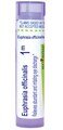 Boiron Euphrasia Officinalis 1M for Abundant &amp; Irritating Eye Discharge - 80 Pellets