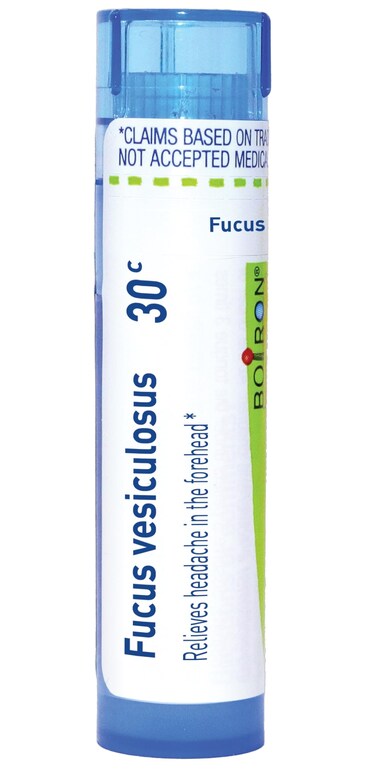 Boiron Fucus Vesiculosus 30C for Headachess in the forehead - 80 Pellets