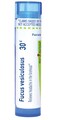 Boiron Fucus Vesiculosus 30C for Headachess in the forehead - 80 Pellets
