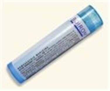 Boiron Gelsemium Sempervirens 6X for Apprehension with Trembling &amp; Headachess - 80 Pellets