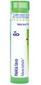 Boiron Hekla Lava 8X Homeopathic Medicine for Toothache - 80 Pellets