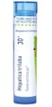 Boiron Hepatica Triloba 30C Homeopathic Medicine for Sore Throat Pain - 80 Pellets