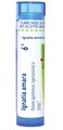 Boiron Ignatia Amara 6 Homeopathic Medicine for Stress - 80 Pellets