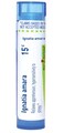 Boiron Ignatia Amara 15C for Apprehension &amp; Hypersensitivity to Stress - 80 Pellets