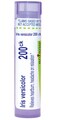 BOIRON USA - Iris Versicolor 200ck [Health and Beauty]