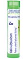 Boiron Kali Sulphuricum 6X for Colds with Nasal Discharge - 80 Pellets