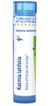 Boiron Kalmia Latifolia 9C for Arthritis Pain &amp; Neuralgia - 80 Pellets