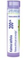 BOIRON USA - Kalmia Latifolia 200ck [Health and Beauty]