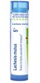 Boiron Lachesis Mutus 5C for Hot Flashes from Menopause - 80 Pellets