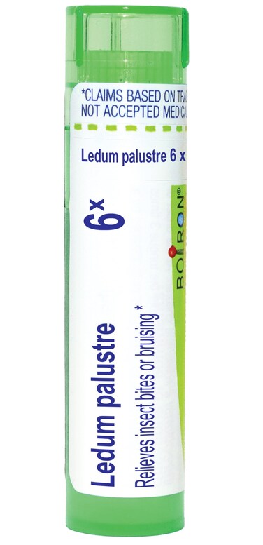 Boiron Ledum Palustre 6X for Insect Bites or Bruising - 80 Pellets