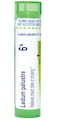 Boiron Ledum Palustre 6X for Insect Bites or Bruising - 80 Pellets