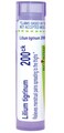 Boiron Lilium Tigrinum 200Ck for Menstrual Pains Spreading to The Thighs - 80 Pellets